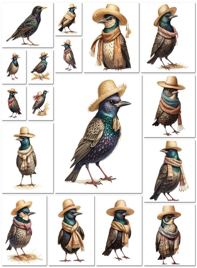 VAAIMAI 17-Piece Starling Stickers | Watercolor European Bird & Garden Wildlife Designs | Waterproof Iridescent Bird Stickers for Nature Journal, Pack of 4 - Image 5